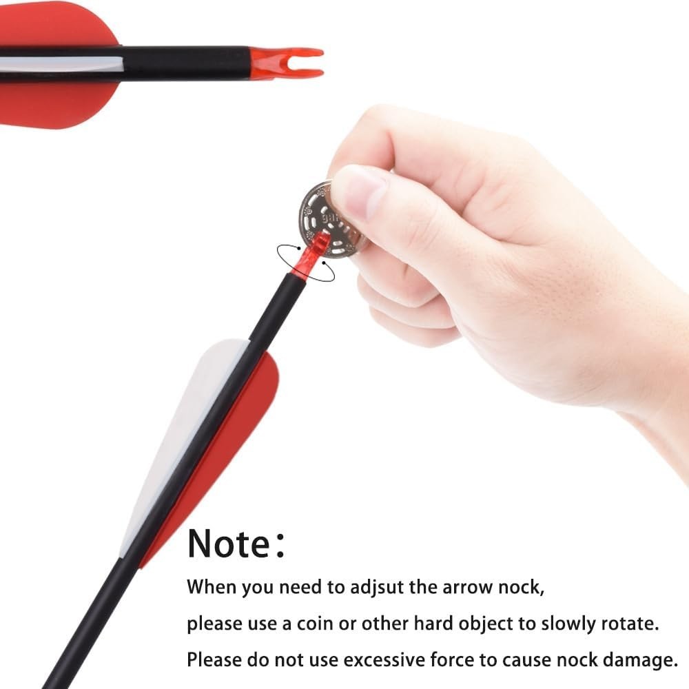 Carbon Arrow Set 12-Pack for Target Practice