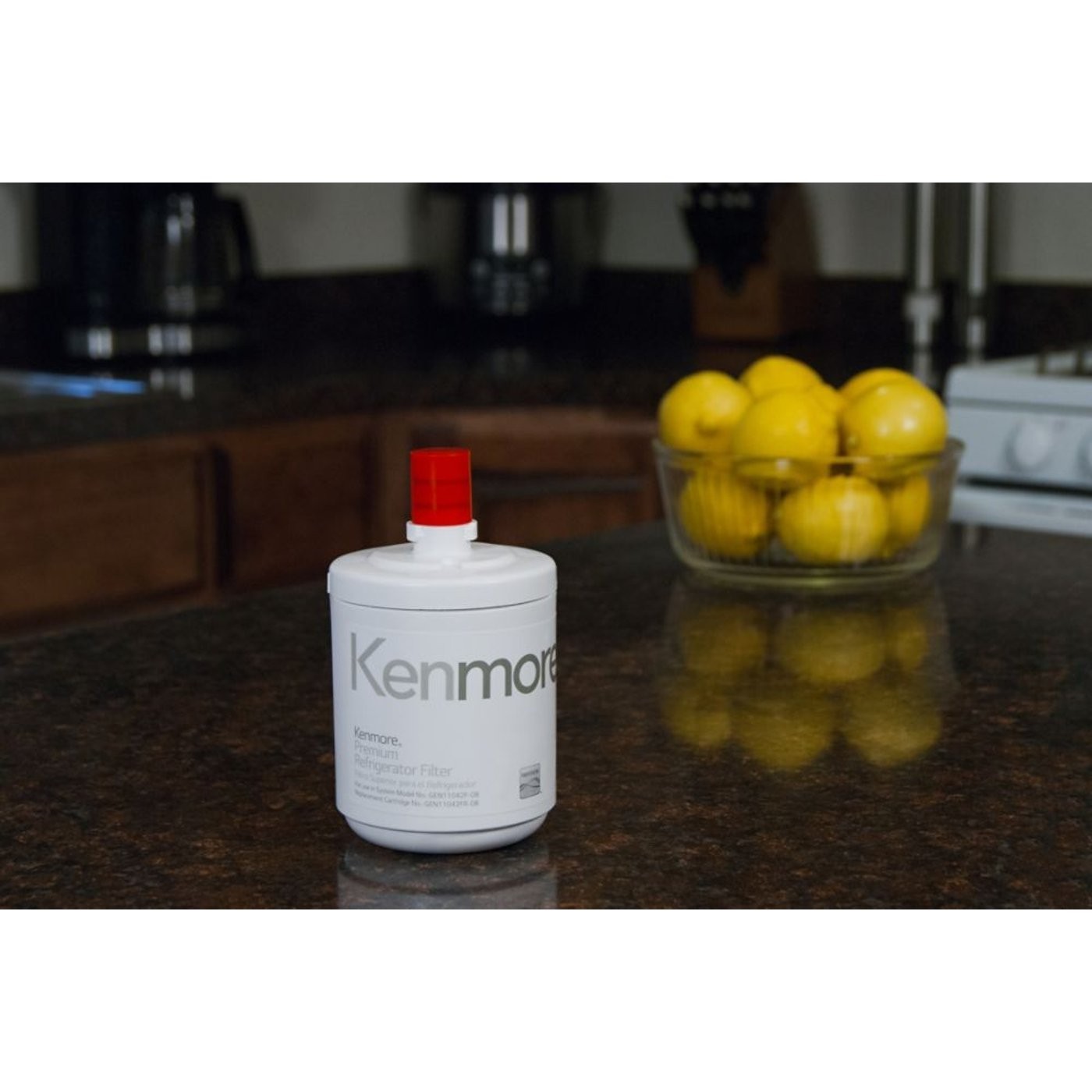 1 Pack Kenmore 9890 46-9890 Refrigerator Water Filter ( usa ship)