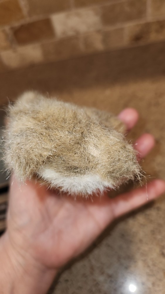Folkmanis Mini Great Horned Owl Finger Puppet 4"