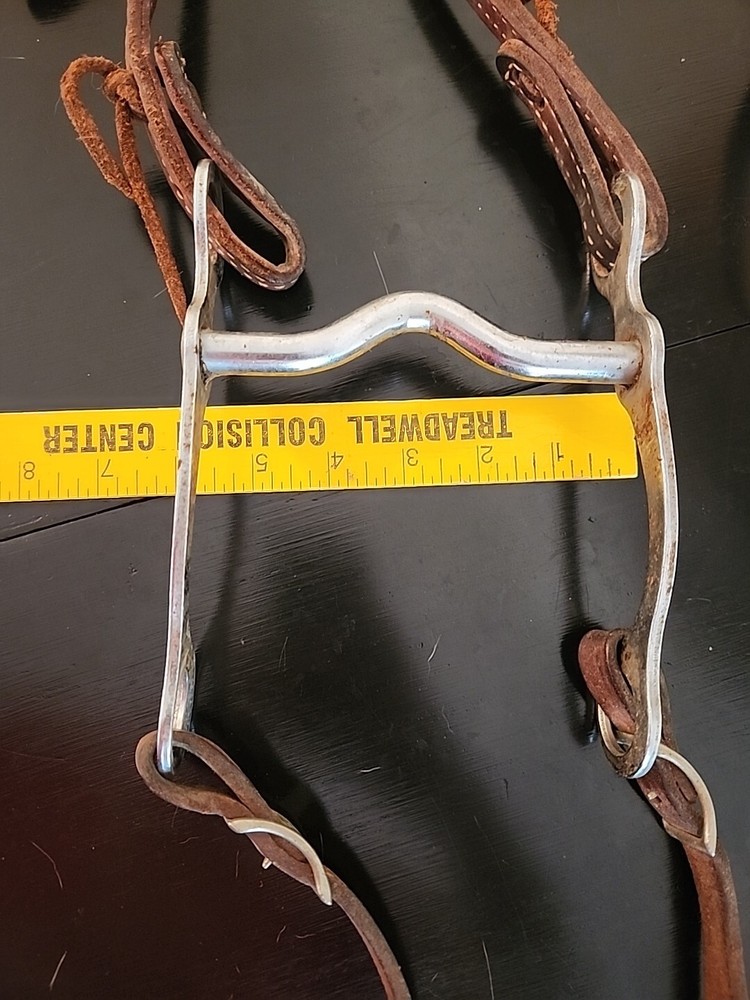 Horse Bit and Bridle Set
