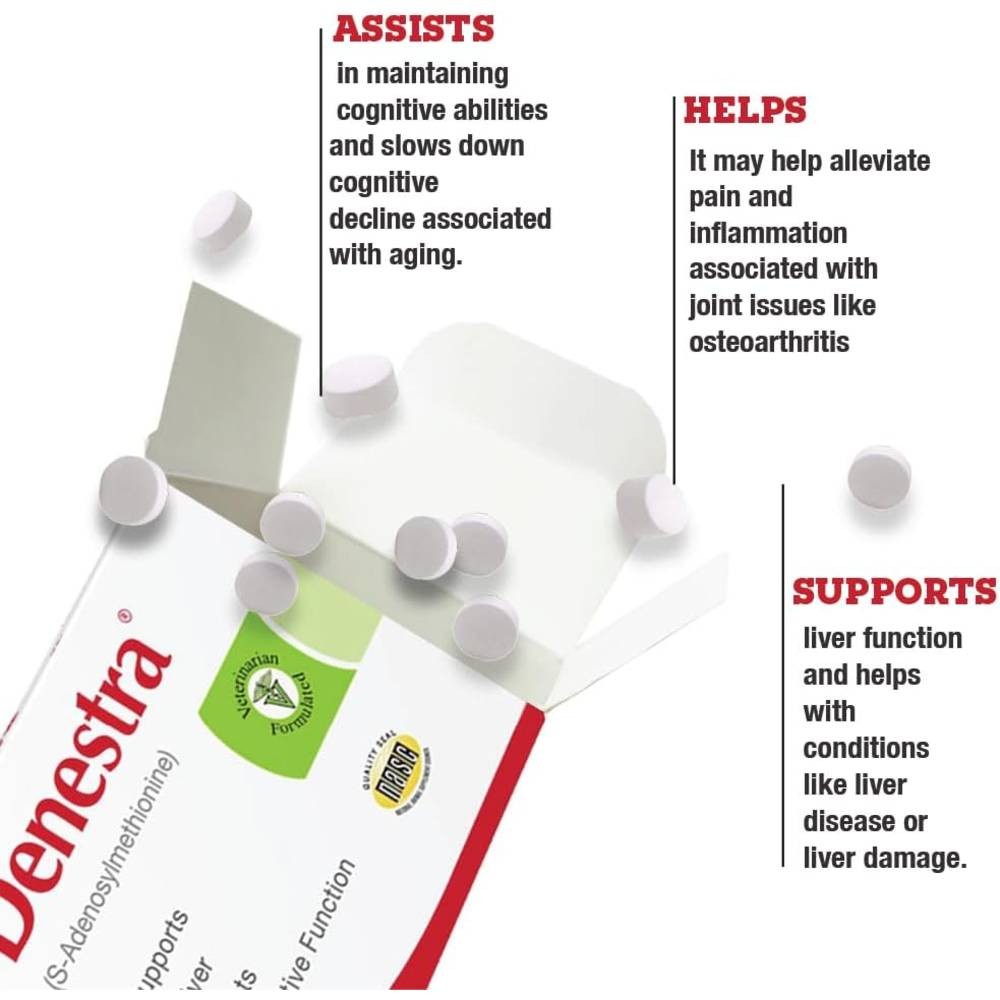 Denestra SAMe 200 mg (60 Tablets)