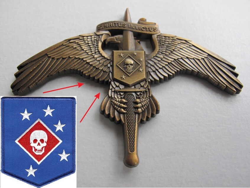 Raider SKULL on MarSoc Legacy Badge Pin US Marine Corps SOCOM Tactical Antiqued