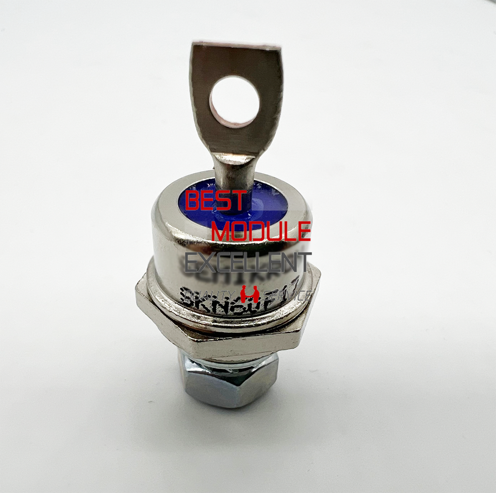 1PCS SKN60F17 Professional Power Modules Modules Sensors