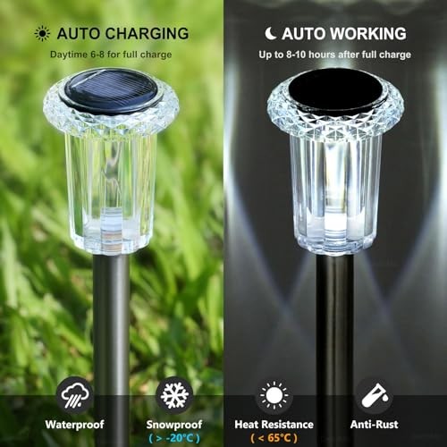Solar Lights Outdoor 10 Pack Waterproof 6000K Cold White LED Cold 10Pack