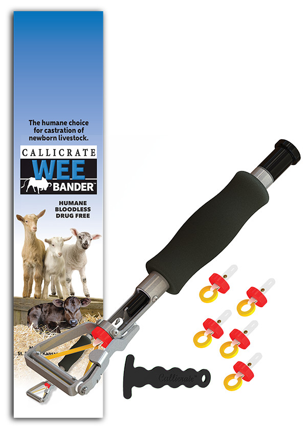 Callicrate WEE Bander Kit