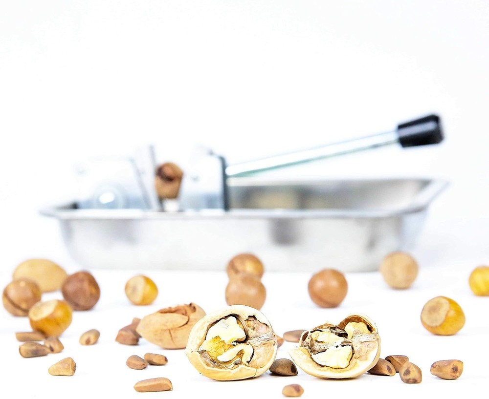 Mechanical Heavy Duty Nut Cracker Walnut Pecan Hazelnut Sheller with Storage ...