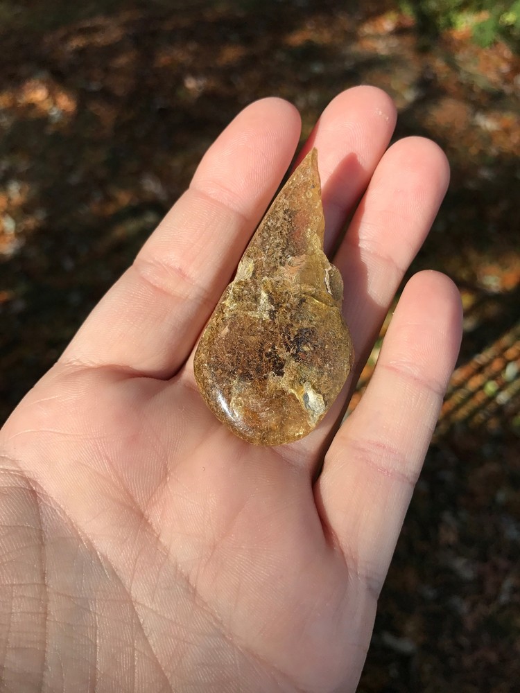 Baltic Amber