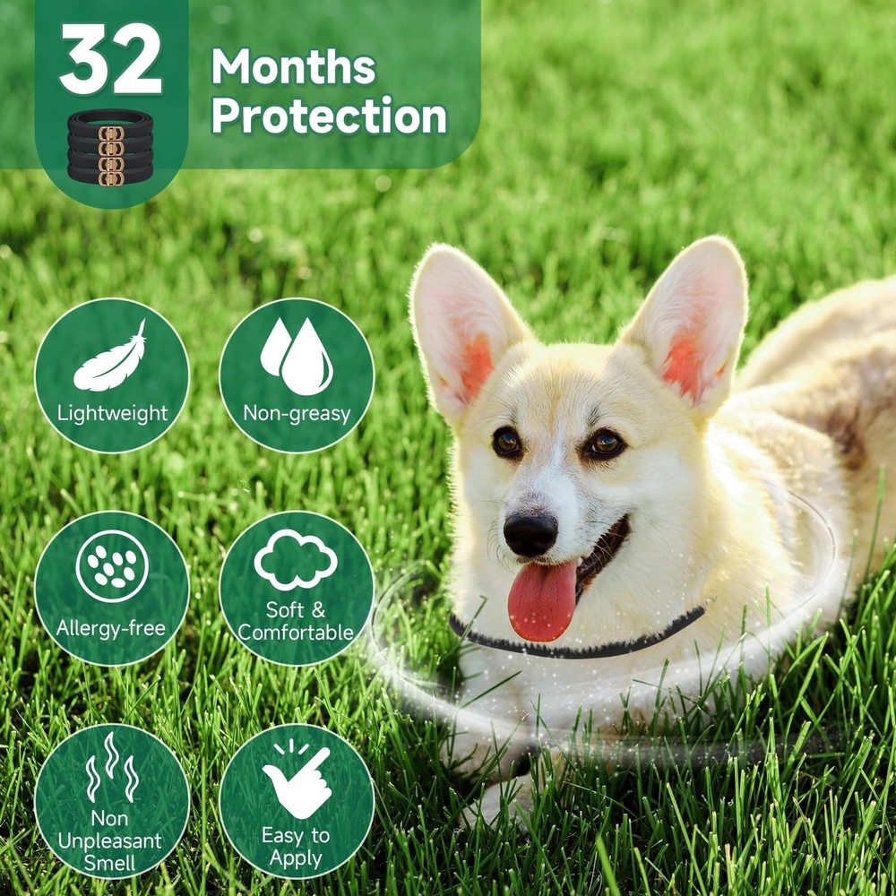 4 Pack Collar for Dogs