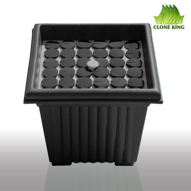 THE CLONE KING 36 SITE AEROPONIC PLANT CLONING MACHINE CLONER CLONING VERY EASY!