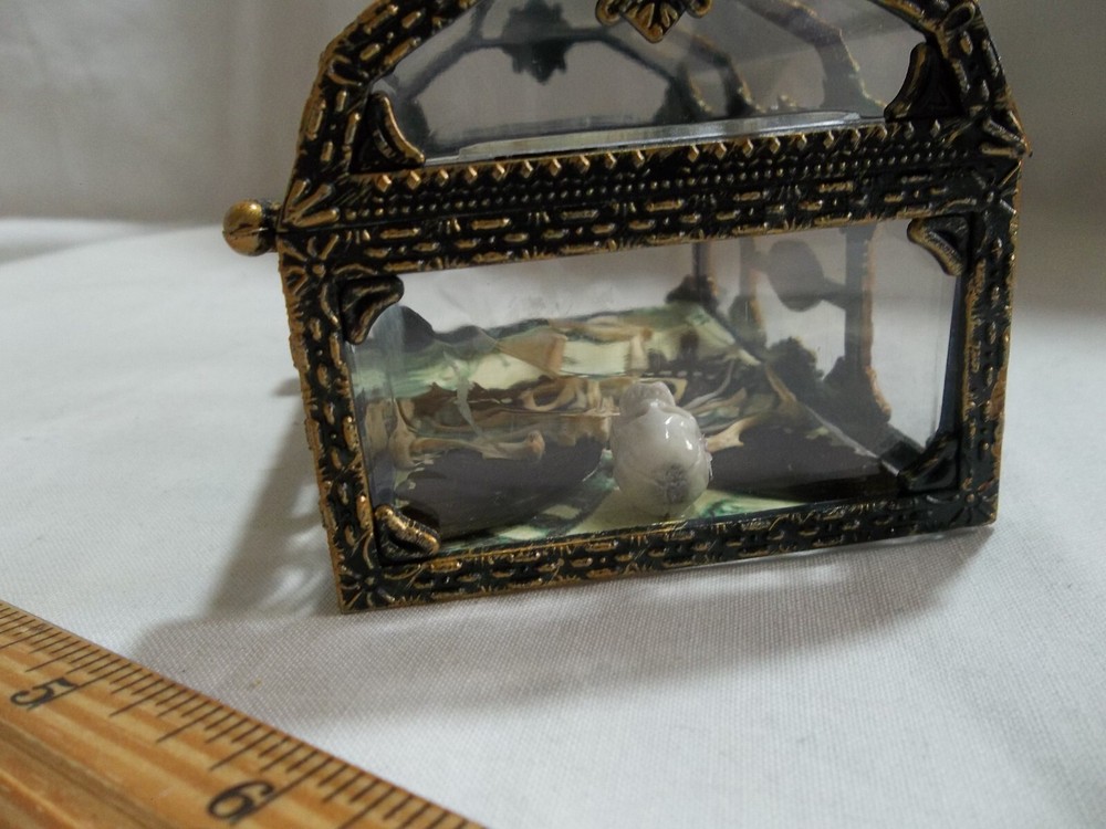 Dead Fairy Forensic Bones Fancy Display Box Sideshow Gaff Oddities Cabinet b