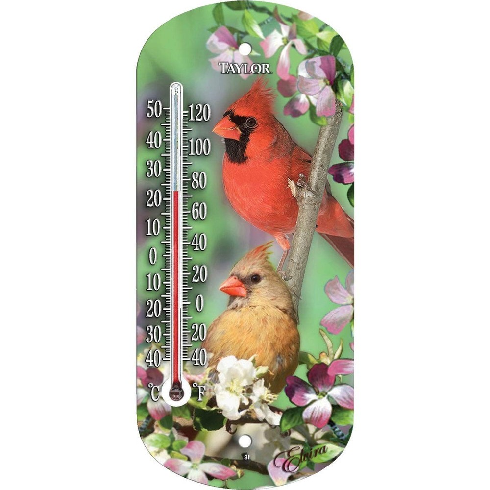 Taylor Cardinal Window Thermometer No Size, Multicolor