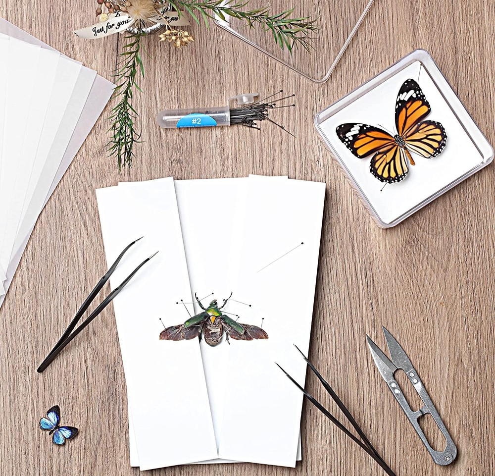 Making Insect Specimen Tools Kit, Pins,Insect Pinning Board, Kit