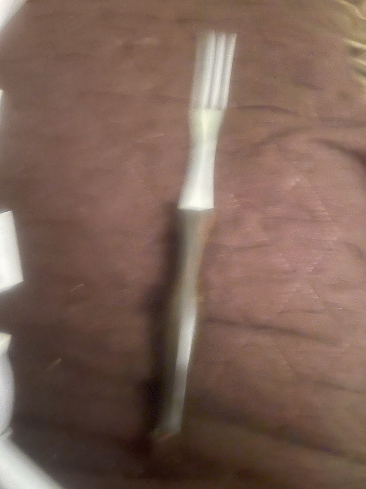 Cutco Carving fork
