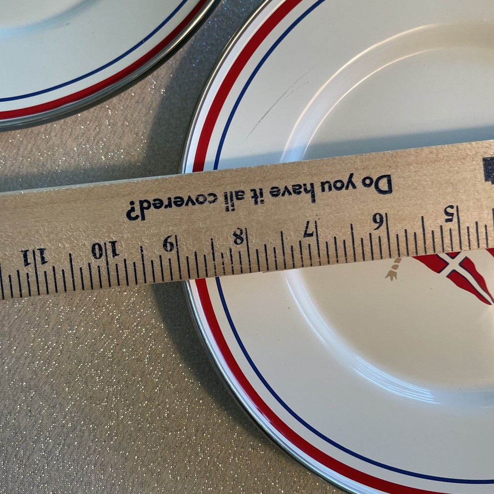 4 American Picnic Enamelware 9” Plates