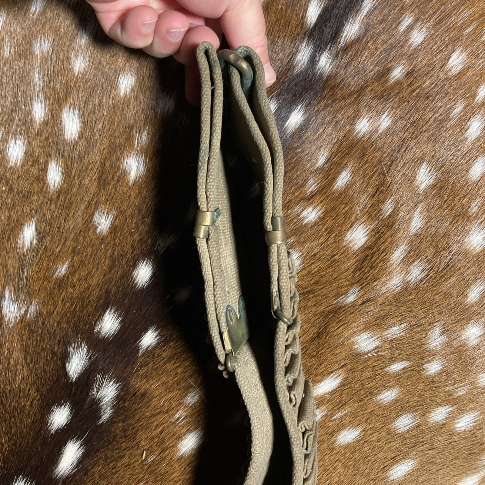 SPANISH AMERICAN WAR U.S. KRAG AMMO CANVAS BELT 45 SLOTS 30-40 Krag ?