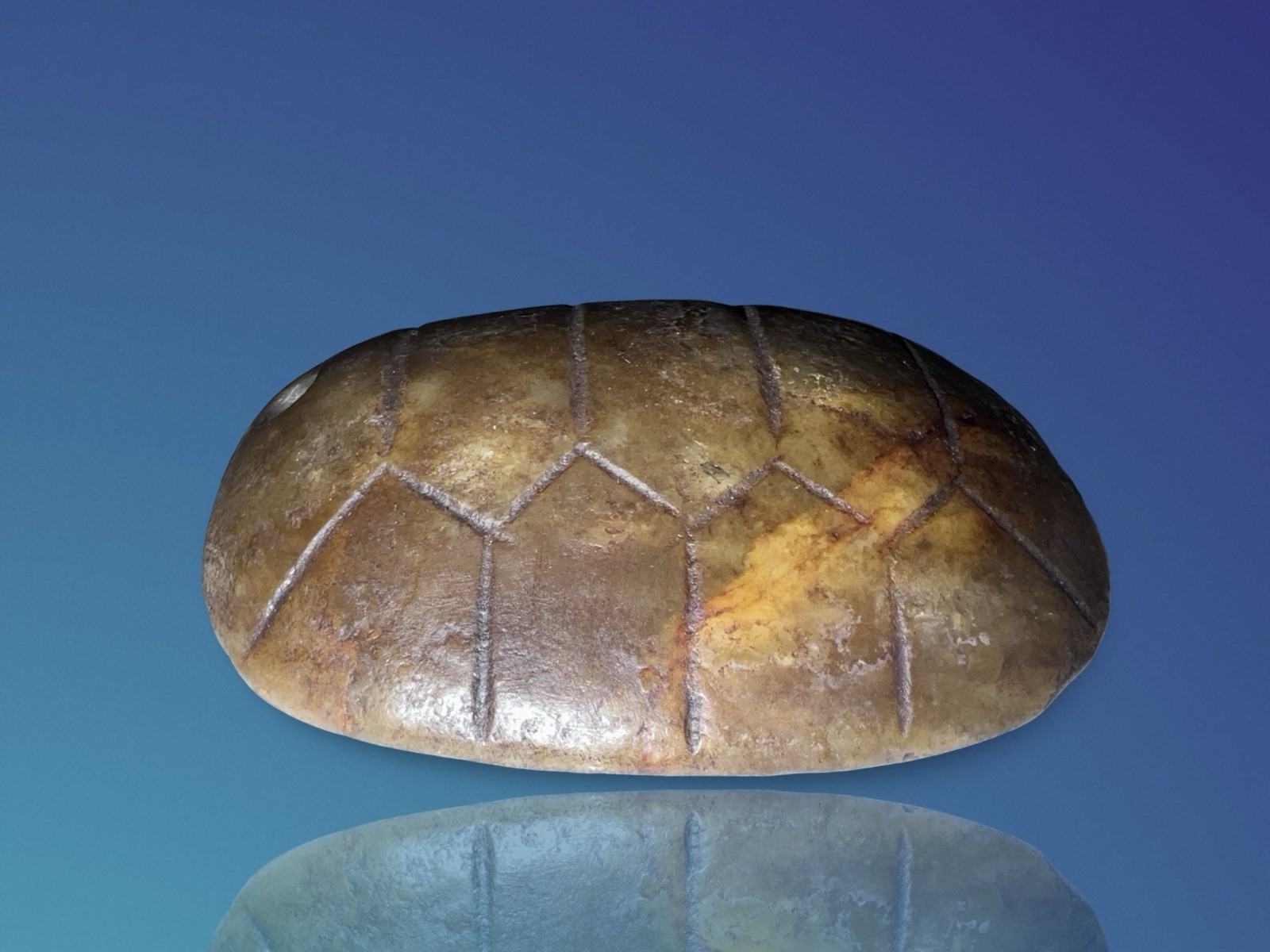 Pueblo Native American Turtle Fetish Pendant c.1800s – Pump Drilled