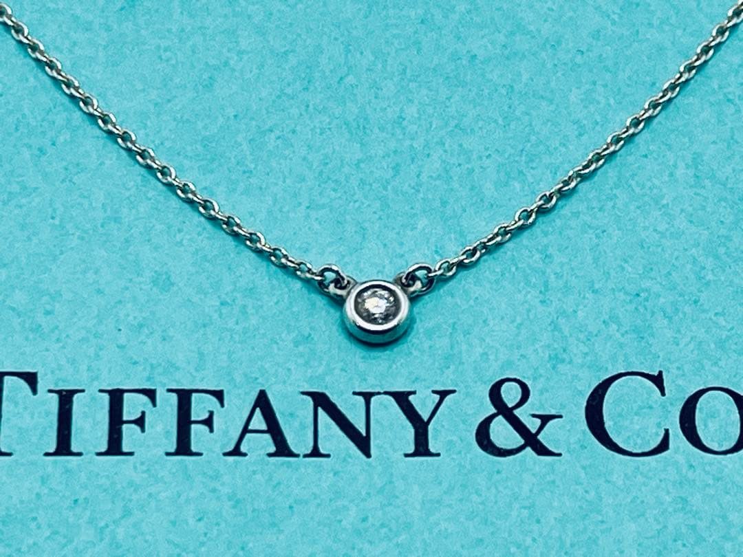 h887 Excellent condition Tiffany & Co. By the Yard diamond necklace, sterling