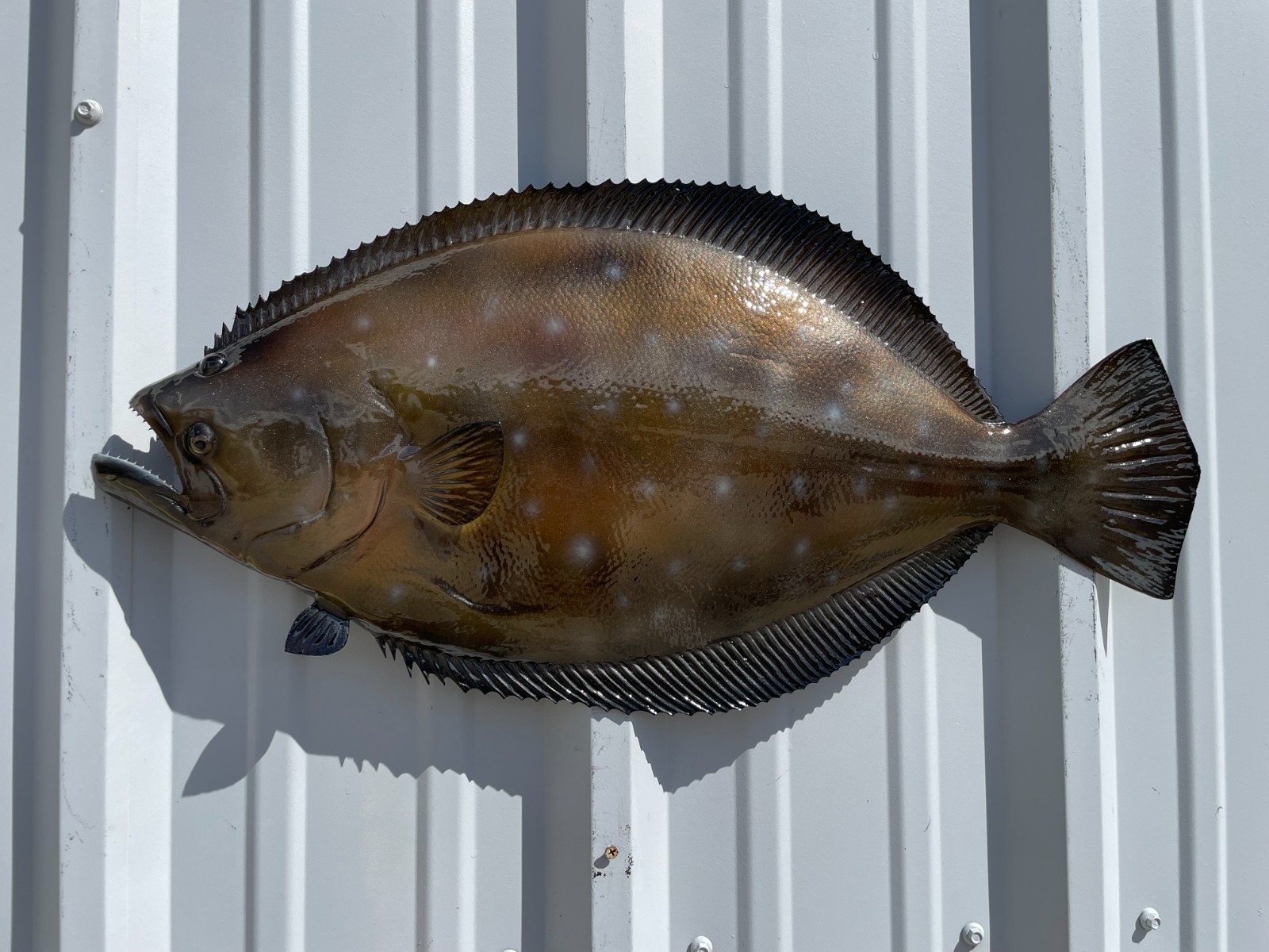 27" Flounder Half Mount Fish Replica - Quick Production