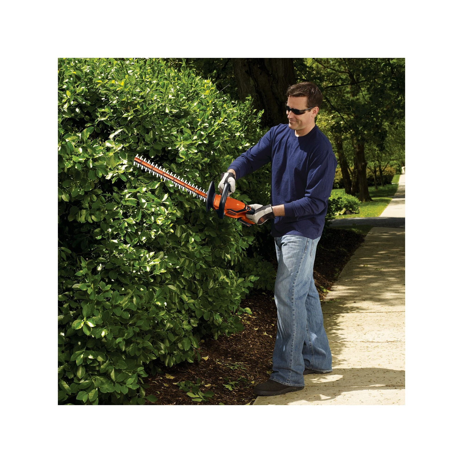 BLACK+DECKER 20V MAX* Cordless Hedge Trimmer, 22-Inch - LHT2220