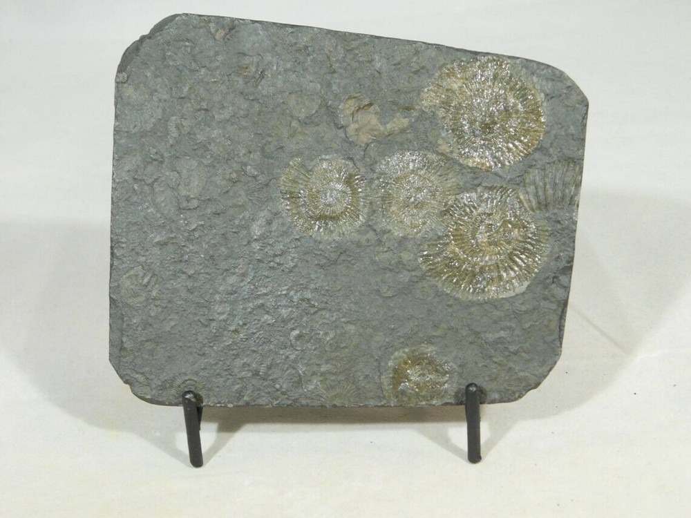Easel Display Stand Medium Size Iron Black Color