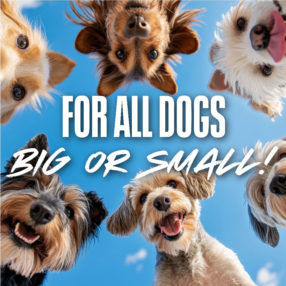 Nerf Dog Tennis Ball Blaster Dog Toy with 4 Balls, 16 inch