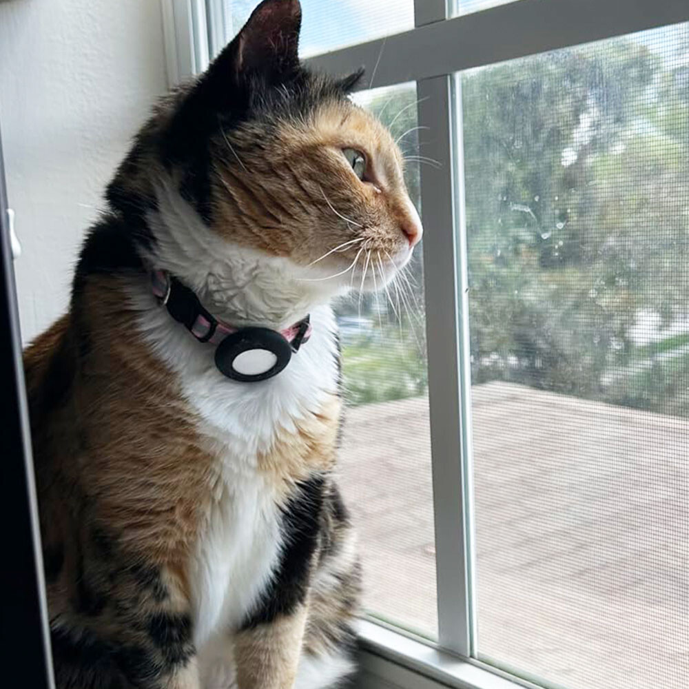 Airtag Cat Collar Breakaway Reflective Kitten For Apple Air Tag Holder Case Pet