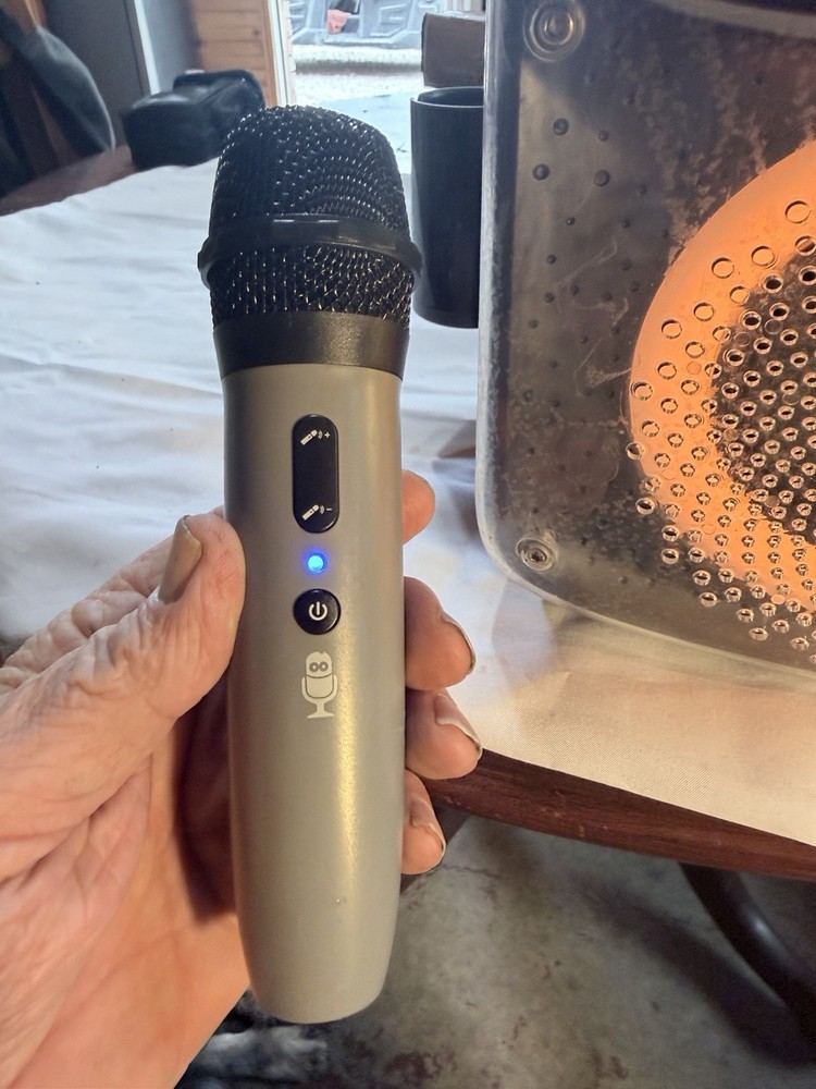 Singing Machine SML294BK Bluetooth Karaoke System 2 Mics USB-C Tested