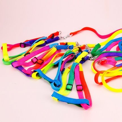 Hypeety Pet Bird Harness and Leash with Buckle Adorable Rainbow Design Safe P...