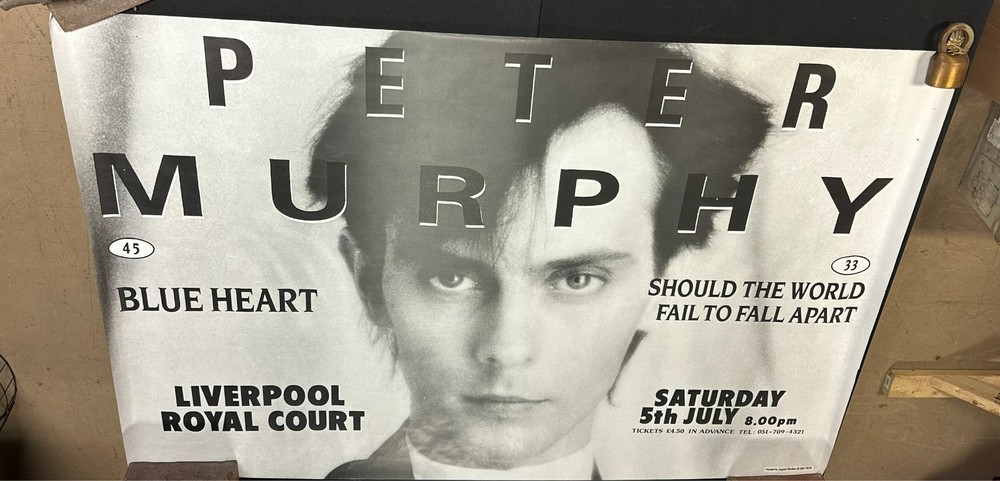 Peter Murphy Blue Heart Should The World Fail Fall Apart 60x39 Subway Poster F2