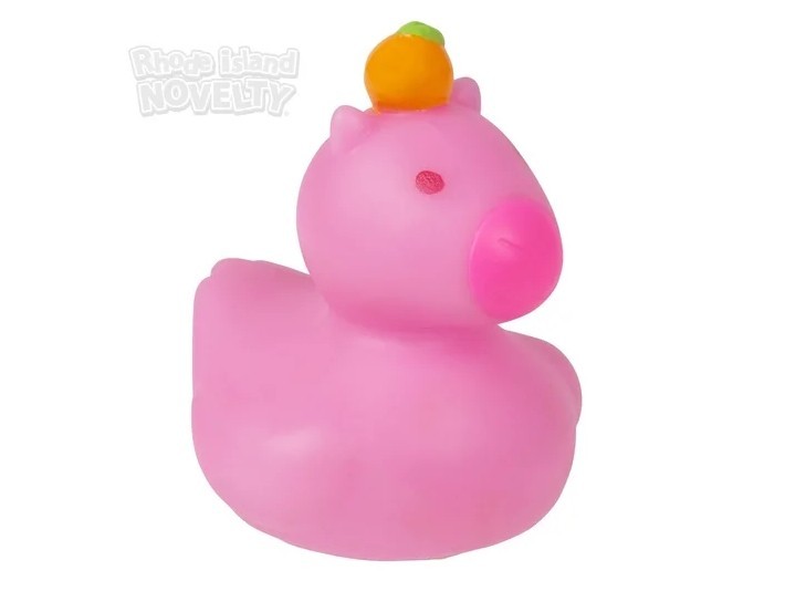 2" Capybara Rubber Ducks - 12 Piece Assortment