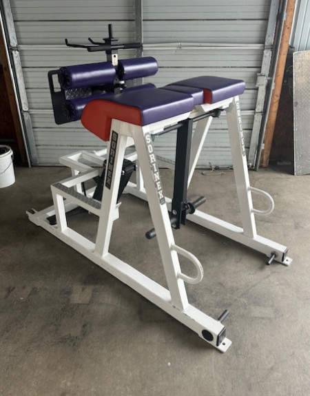 Sorinex | Plate Loaded FrankenHyper (CLEMSON) (GHD & Reverse Hyper Combo)