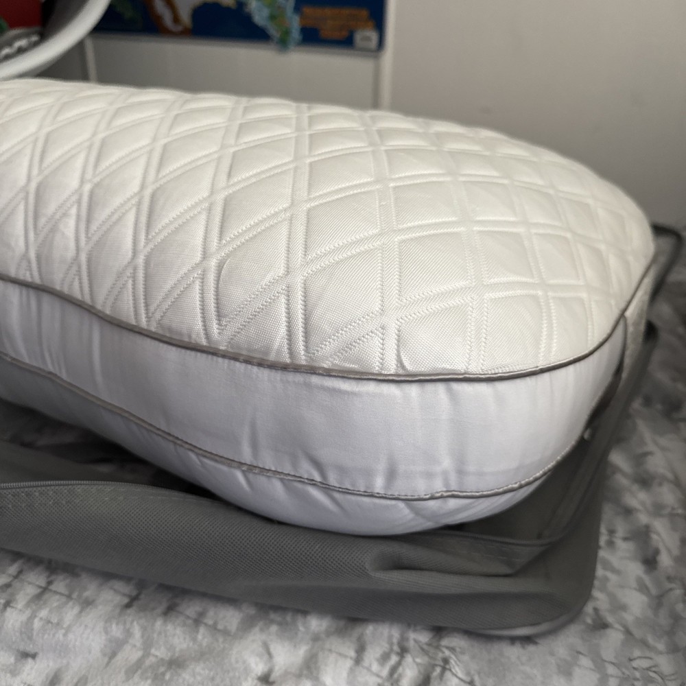 Bear Contour Dual Cool Pillow (Queen Size)