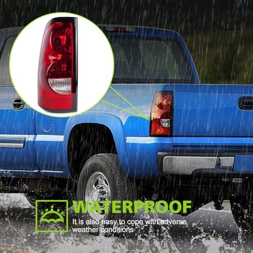 HSMOTHEV Red Left Driver Side Tail Light for 2003-2006