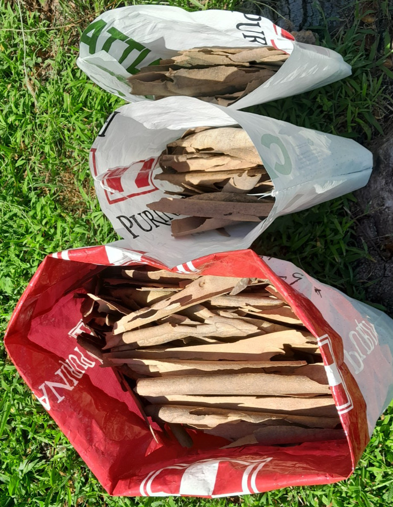 Sycamore Bark 8 ounce - $24