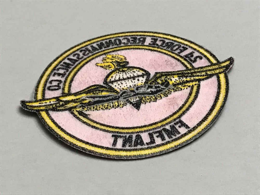 2d Force Reconnaissance Co patch, FMFLANT patch, patch with wings, military