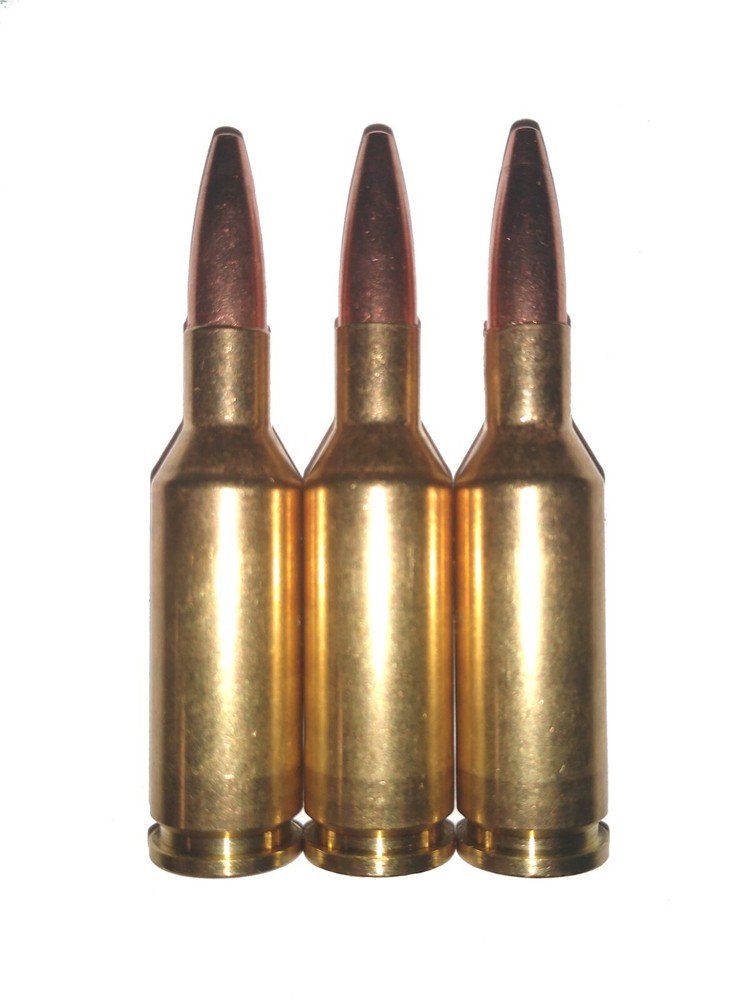 22 PPC Snap Caps Training Aid Tool Rattling & Darkened Options .22 PPC