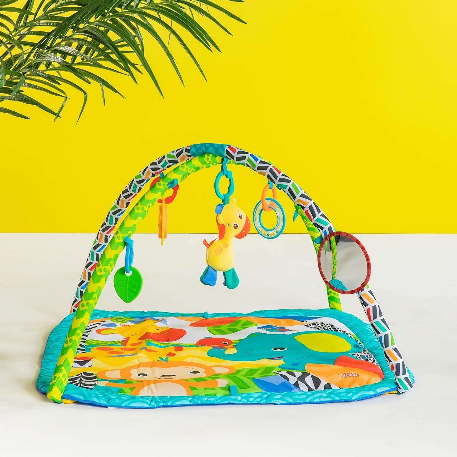 Zippy Zoo Activity Gym