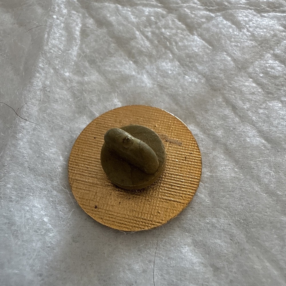 Operation Desert Storm Logo Pin - #101