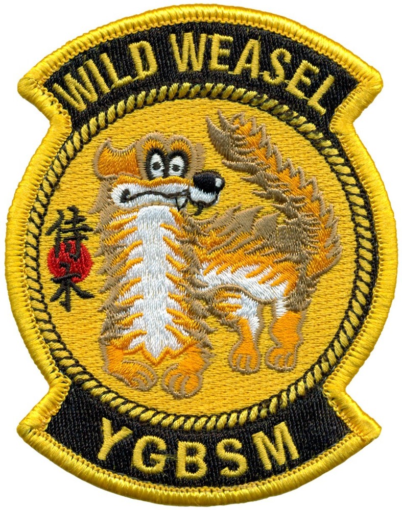 USAF 14th FIGHTER SQUADRON WILD WEASEL PATCH