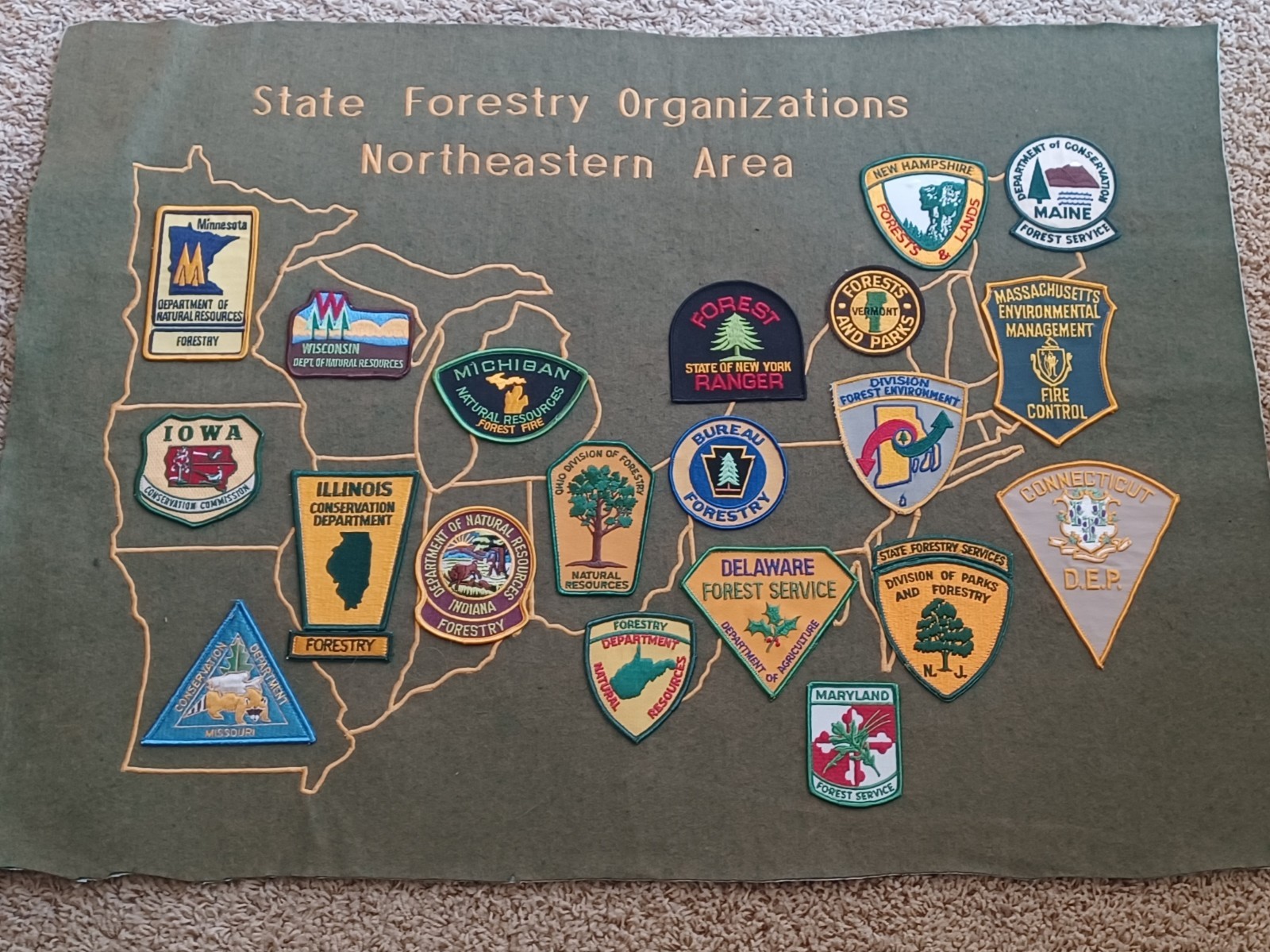 Vtg State Forestry Service Fire Control Conservation Parks DNR USFS Forest Patch