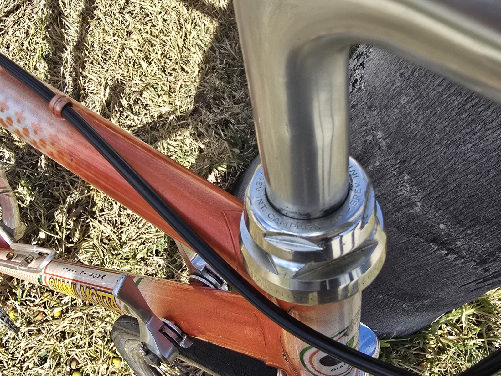 Gianni Motta Bike with Campagnolo Parts 53cm