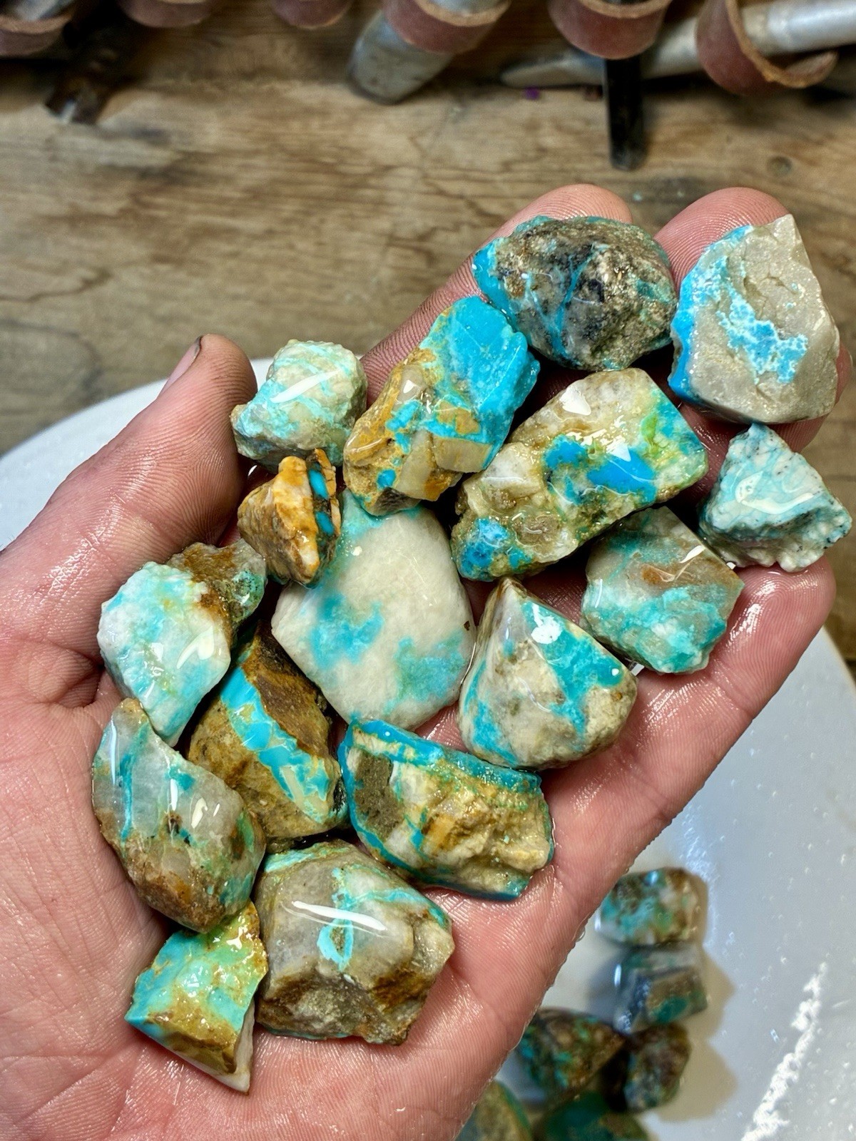 1 Lb of Skinny Turquoise Mountain Nugs! Now Available Again! ￼