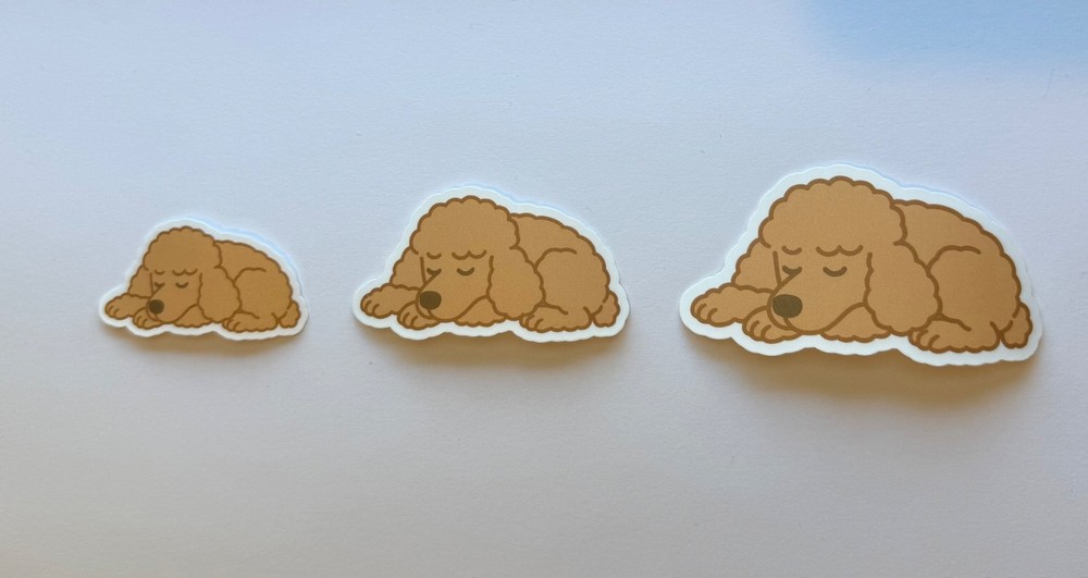 Poodle Sleeping Sticker