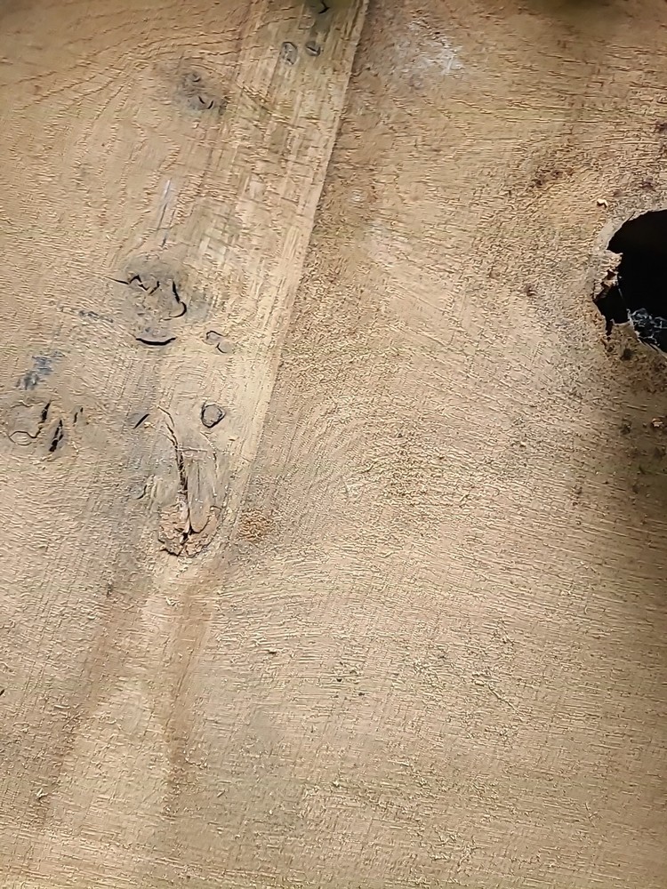 DataShark RJ45 Network Tester Model 70025