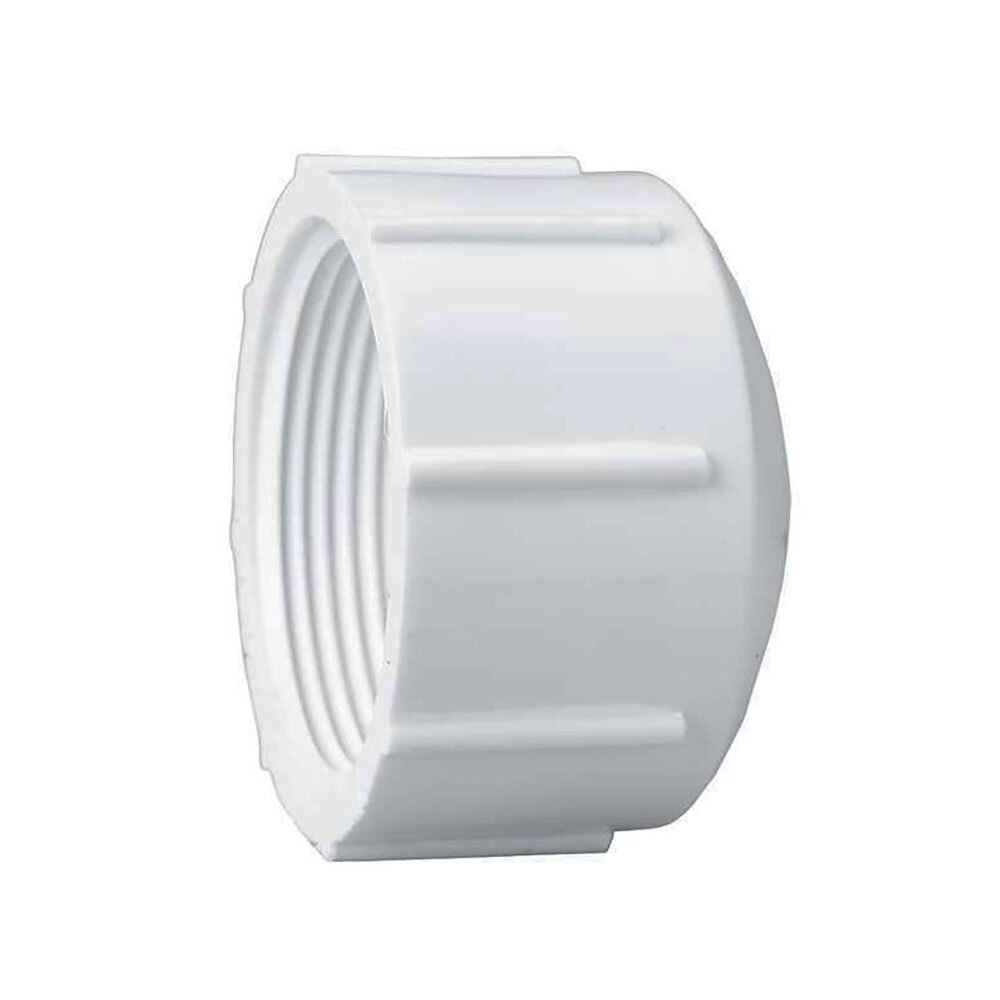 2 Inch PVC SCH 40 Threaded Cap - 8113726