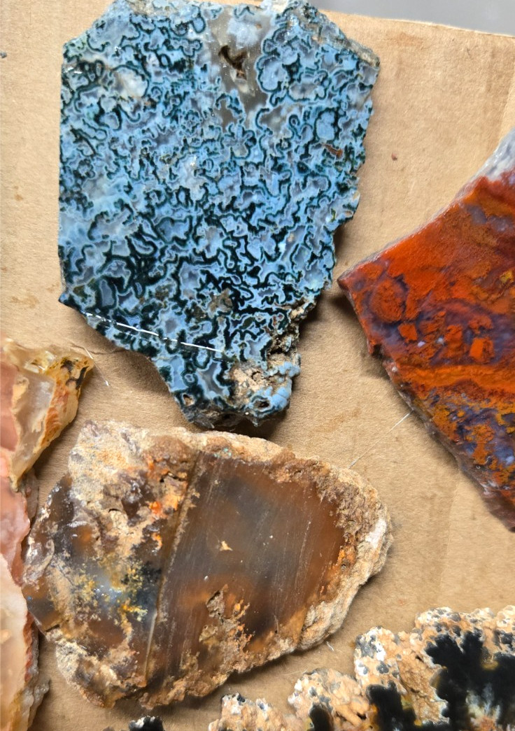 Assorted Plume & Moss Agates, Trimmed Cabochon Slabs Preforms 10 Pcs, Flat 118