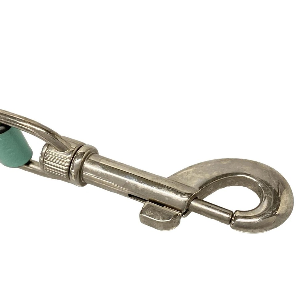 TIFFANY&Co. Tiffany Blue Leather Accessory