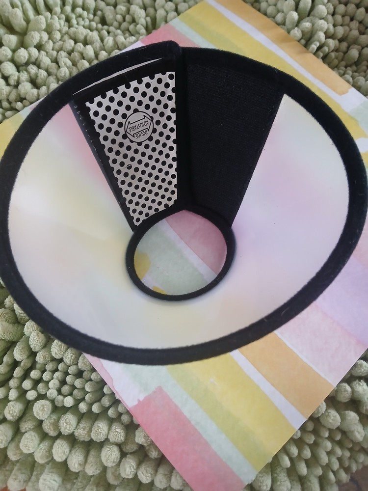 Adjustable Ecollar Cone
