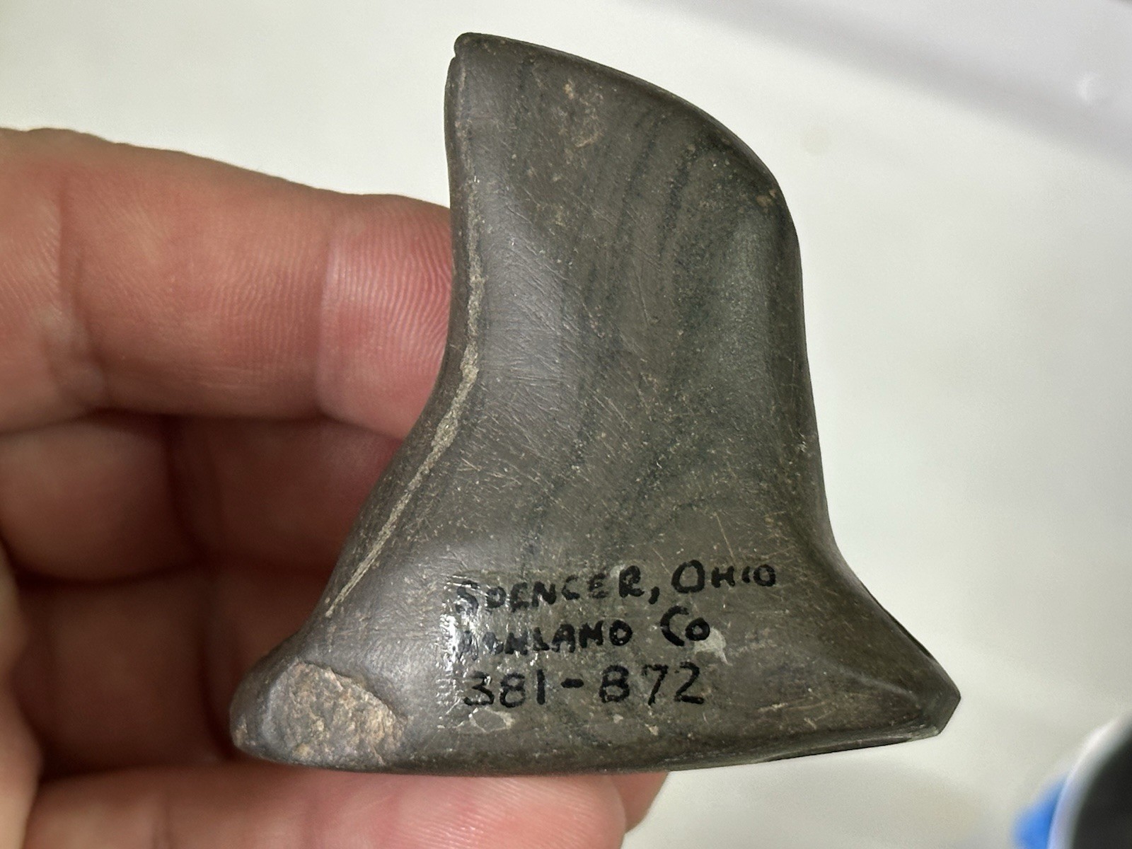 RARE AUTHENTIC BANDED SLATE BIRDSTONE FROM ASHLAND CO. OHIO, MOTLEY COA