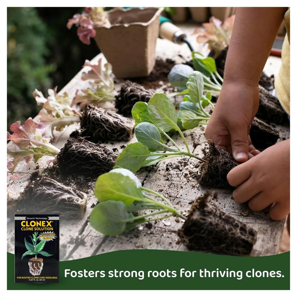 Clonex Clone Solution 20ml Packets 2 Pack Rooting Nutrient for Clones Seedlings
